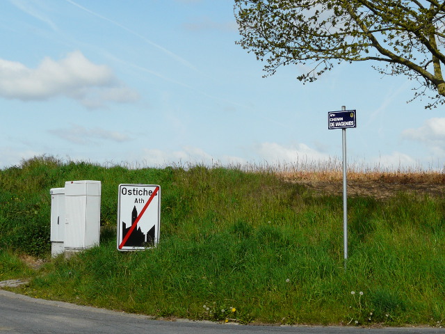 P1310724ostiches_e