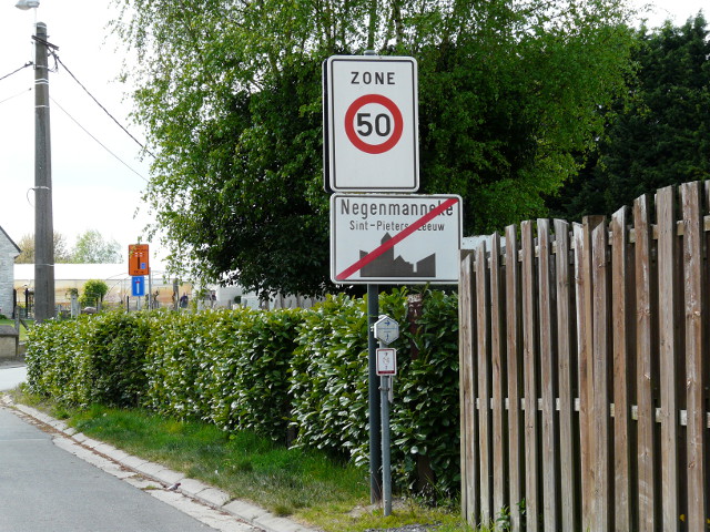 P1310864negenmanneke_e