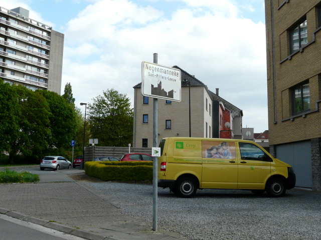 P1310865negenmanneke_w