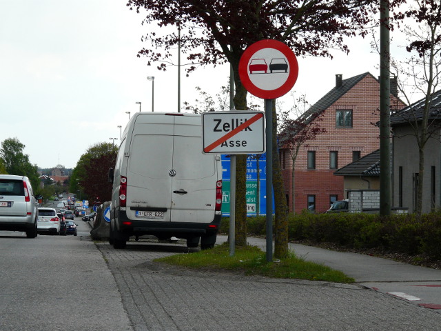 P1310932zellik_e