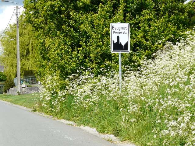 P1320004baugnies_w