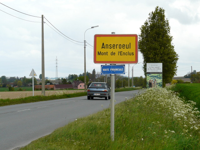 P1320042anseroeul_g