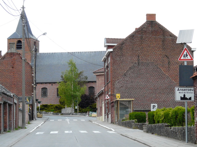 P1320044anseroeul_w