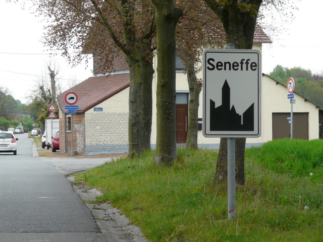P1320174seneffe_w