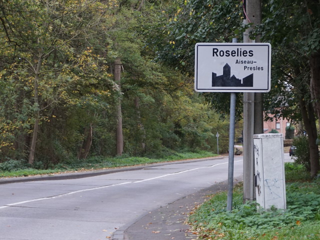 DSC01930roselies_w