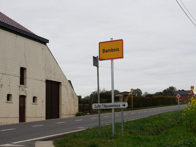 DSC01938bambois_g