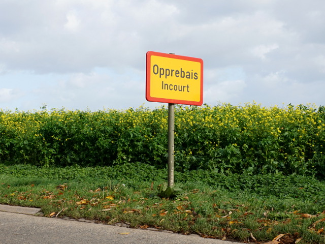 DSC01995opprebais_g
