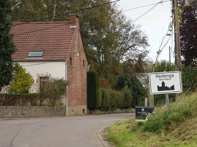 DSC02015hedenge_w