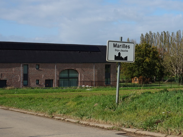 DSC02023marilles_w