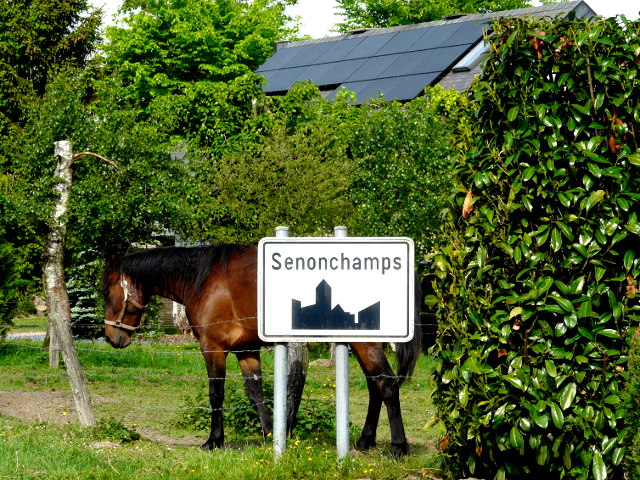 P1320487senonchamps_w