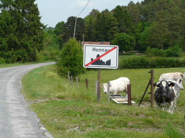 P1320575honnay_e