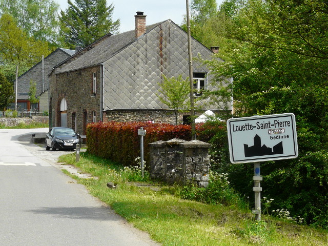 P1320603louettesaintpierre_w