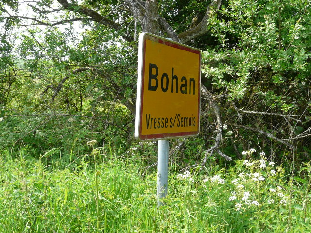 P1320616bohan_g