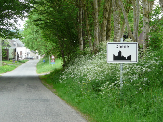 P1330016chene_w