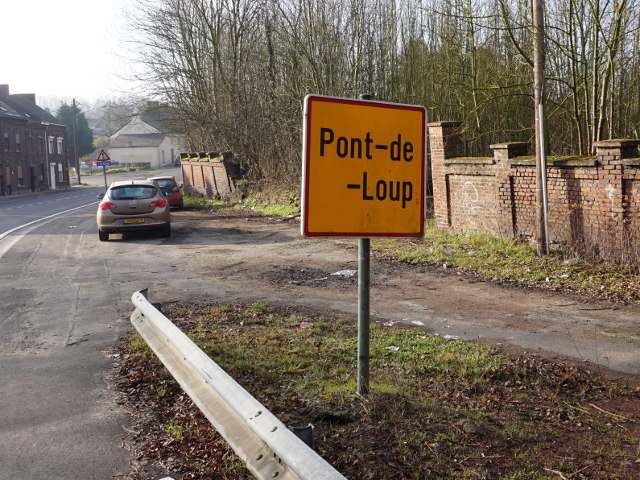 DSC02570pontdeloup_g