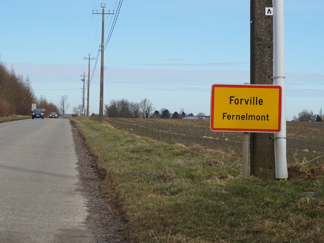 DSC02788forville_g