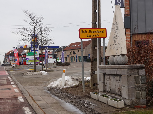 DSC02826hallebooienhoven_g