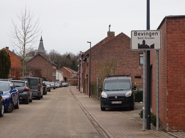 DSC02828bevingen_w