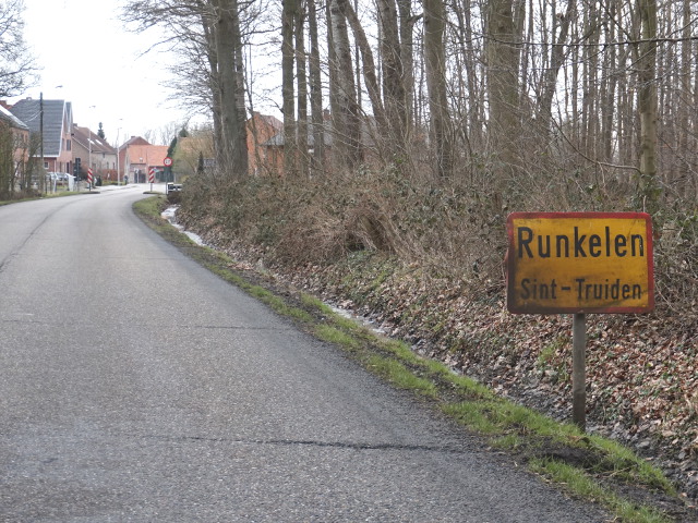 DSC02850runkelen_g