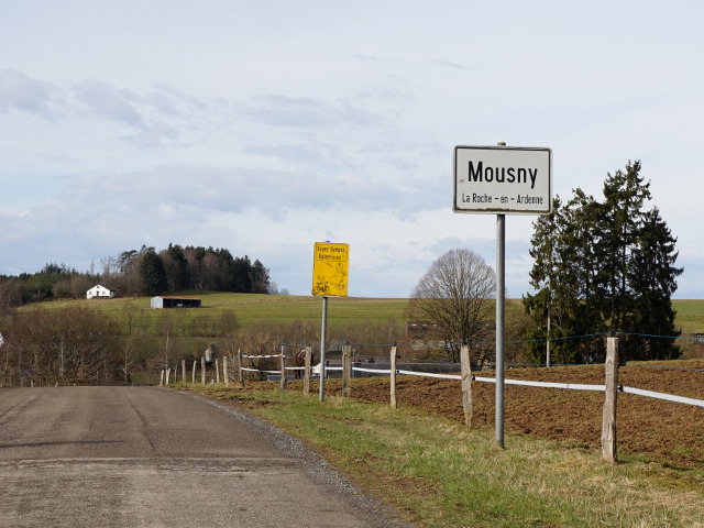 DSC03515mousny_w