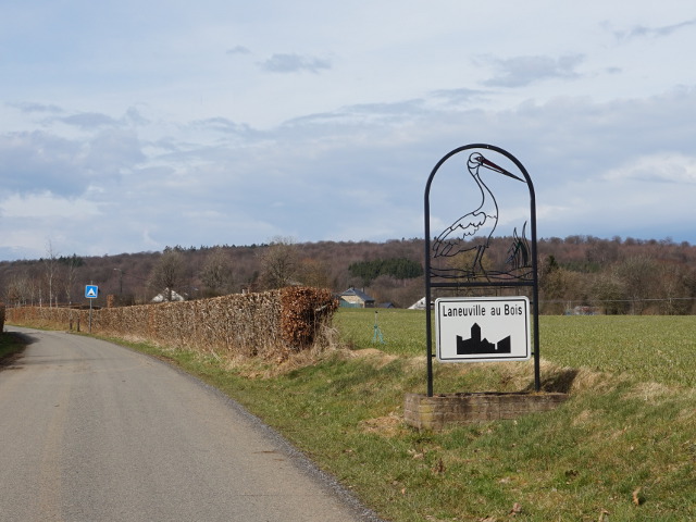 DSC03533laneuvilleaubois_w