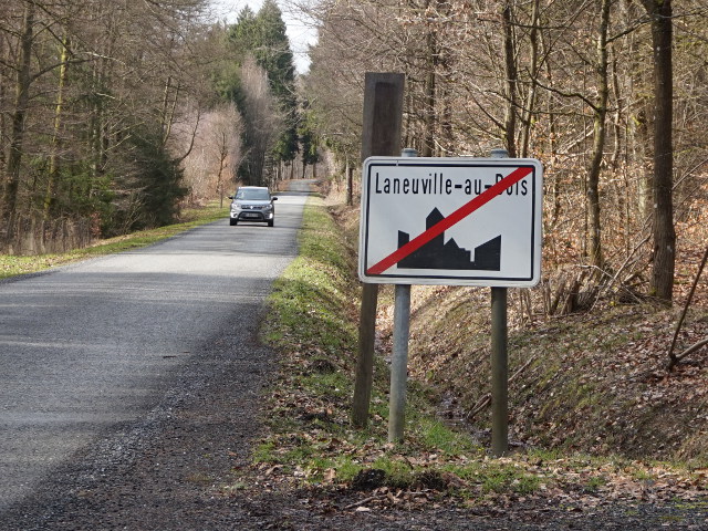 DSC03534laneuvilleaubois_e