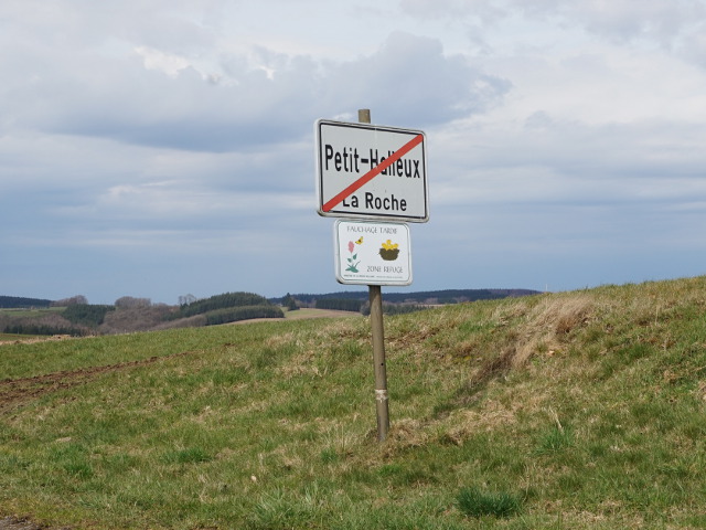 DSC03542petithalleux_e