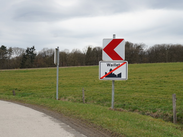 DSC03553waillet_e