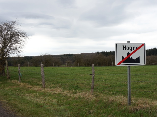 DSC03555hogne_e