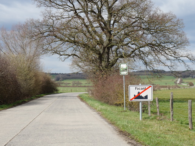 DSC03586focant_e