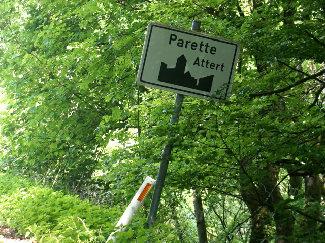 DSC04084parette_w
