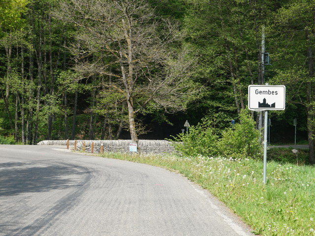 DSC04157gembes_w
