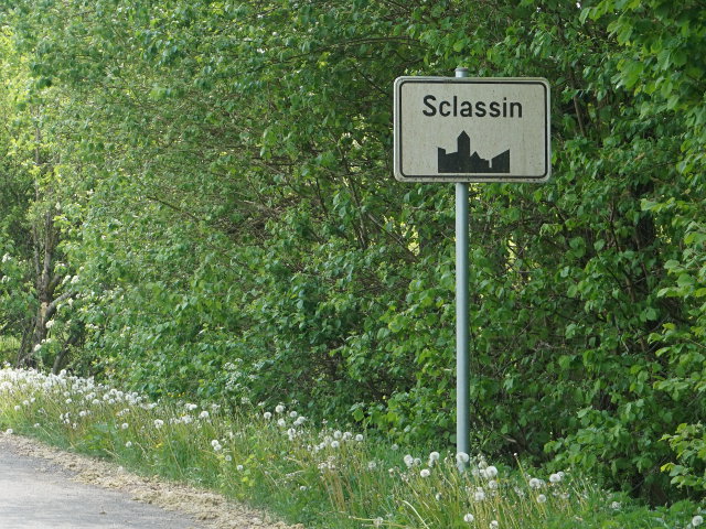 DSC04160sclassin_w