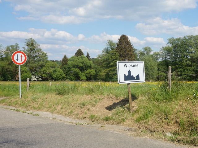 DSC04184wiesme_w