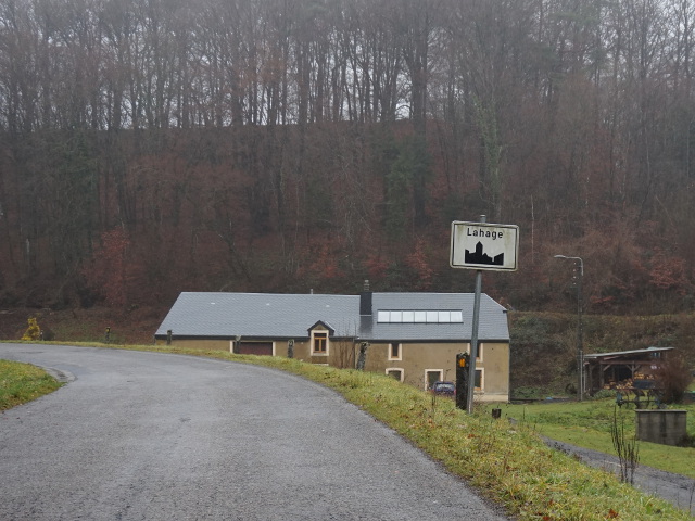 DSC08534lahage_w