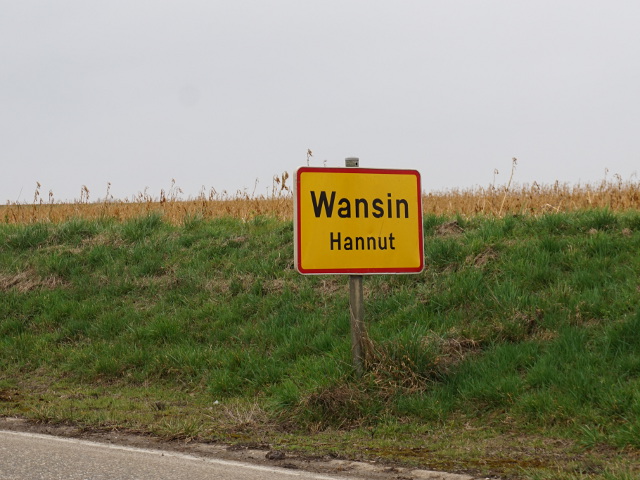 DSC00230wansin_g