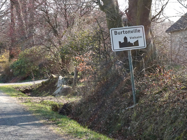 DSC00874burtonville_w