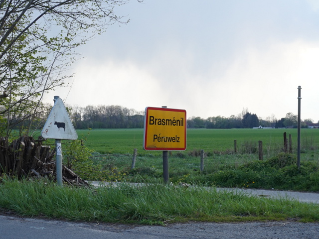 DSC01244brasmenil_g