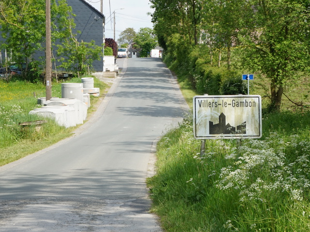 DSC02610villerslegambom_w