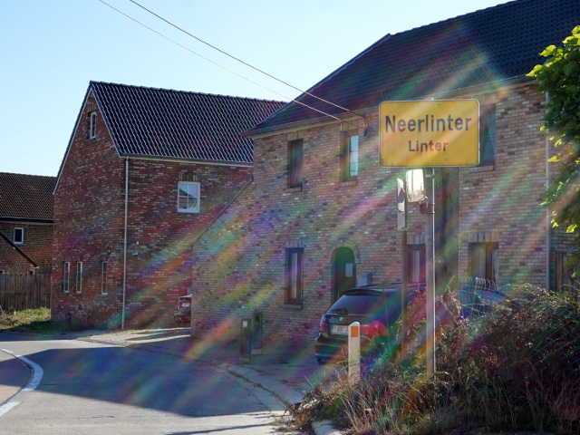 DSC05070neerlinter_g