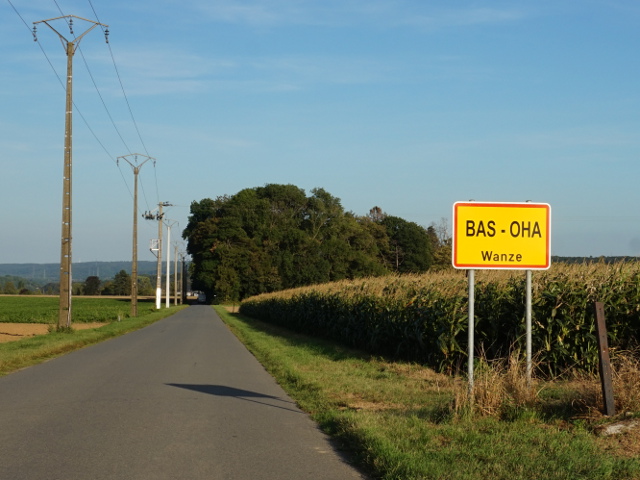 DSC05085basoha_g