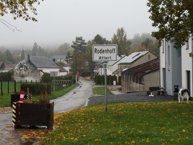 DSC06074rodenhoff_w