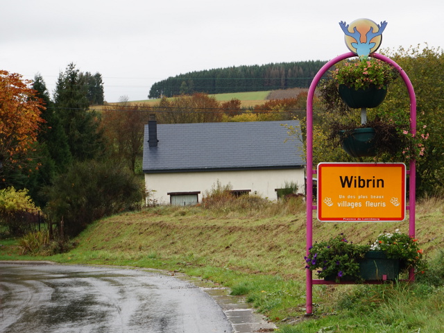 DSC06079wibrin_g