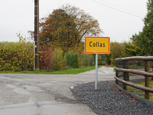 DSC06085collas_g