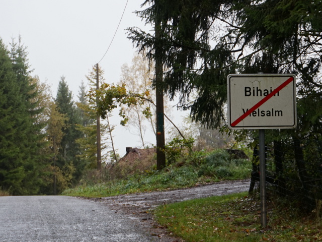 DSC06092bihain_e