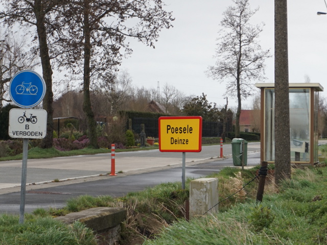 DSC08161poeseledeinze_g