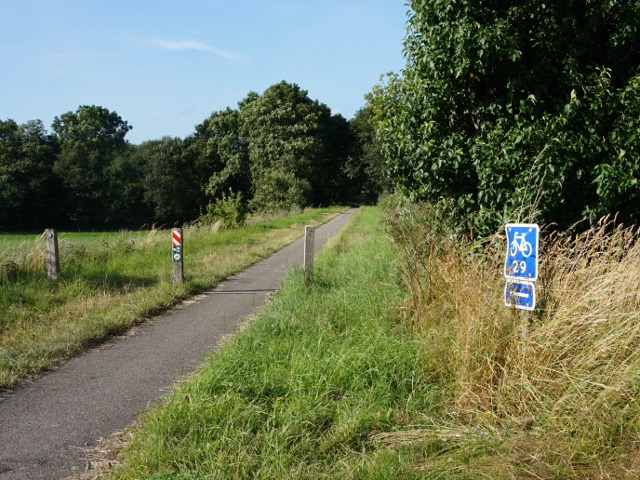 DSC04262f29