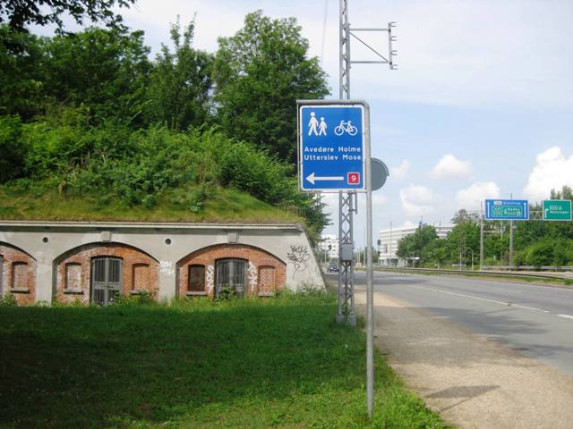 IMG_9347fiets9