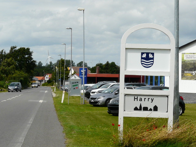 P1170889haarbybord