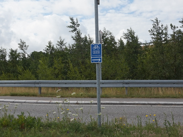 DSC00029f305